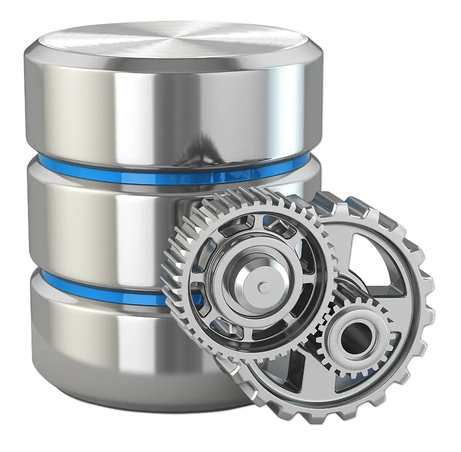 C9 Database Developers Service