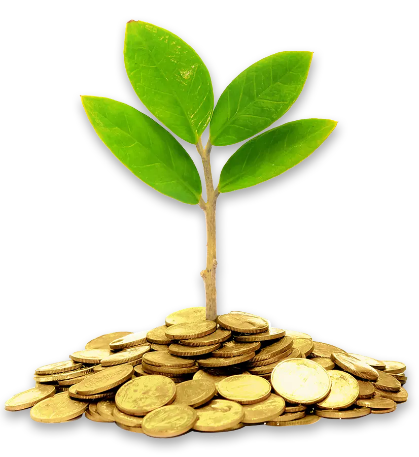 C9 Project Based Developers Service